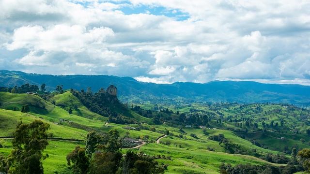 ?️ Роберт Адамс - Отслеживая я (Роберт Адамс сатсанг, читает Никошо) смотреть онлайн