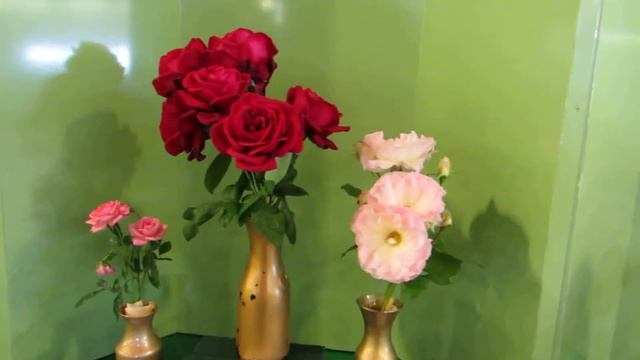 roses 2 canon sx50 video смотреть онлайн