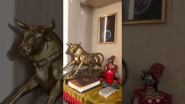 Отзыв о Практике «Магия Игральных карт» смотреть онлайн