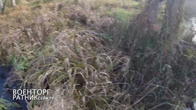 ОХОТА на =БОБРА= КАПКАНАМИ КП 250 по первому льду смотреть онлайн