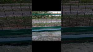 Монтаж установка забора из 3д сетки и профлиста