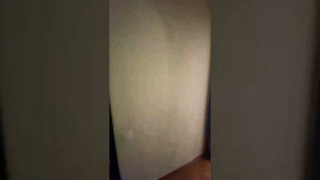 Просторная 4-к квартира в ЖК Оазис, просп. Героев Сталинграда, 8 смотреть онлайн