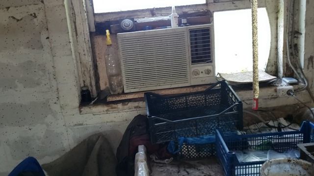 Выращивание червей для рыбалки летом смотреть онлайн