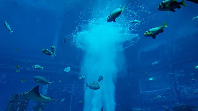 Dubai | The Lost Chambers Aquarium | Atlantis, The Palm | Walking Tour | 2024 | 4K смотреть онлайн
