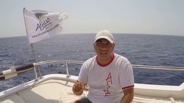 ZooАзбука. Рыбы красного моря смотреть онлайн