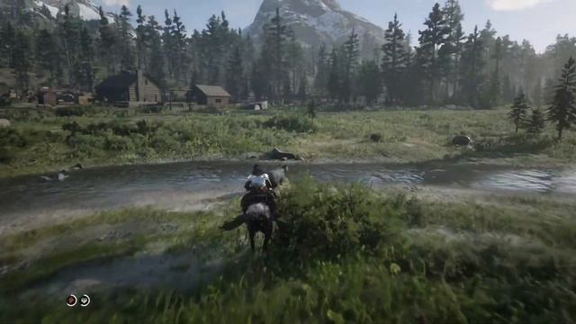 Чёрный медведь? vs Арабская лошадь? смотреть онлайн