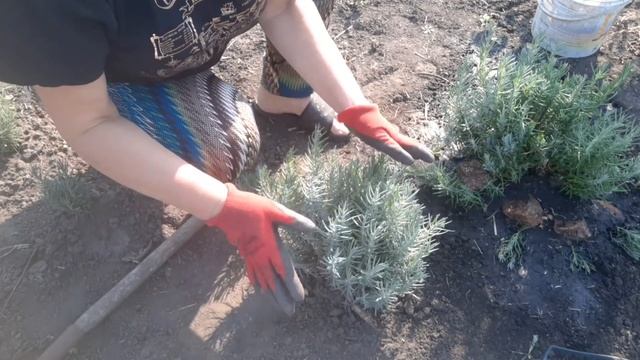 Фотография Городских Пейзажей