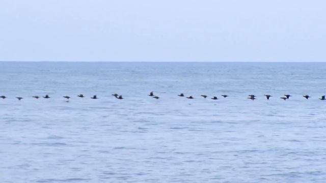 Провинциальные музеи России. Туапсе смотреть онлайн