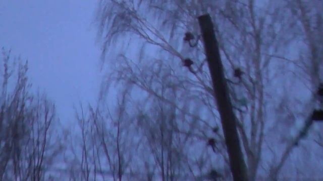 Падающий столб.Обращение к Энергетикам.СЕРГАЧ смотреть онлайн