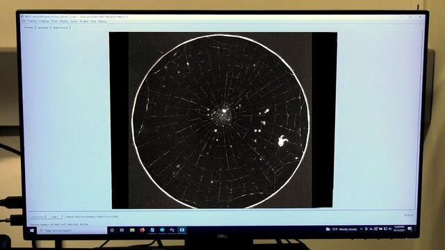 Spiders’ Web Secrets Unraveled смотреть онлайн