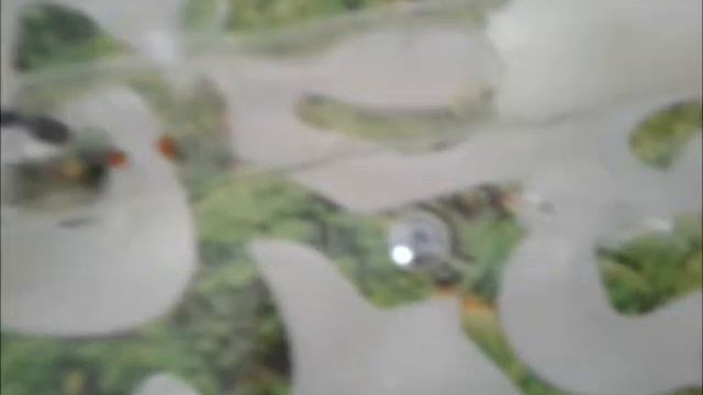 Муравьи в домашних условиях смотреть онлайн