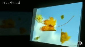 Бондаренко Станислав новый клип