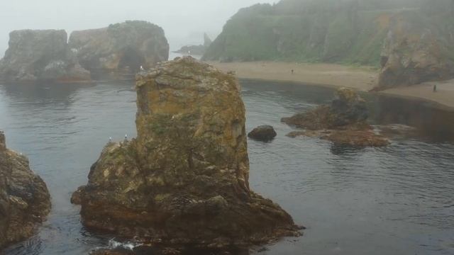 Достопримечательности Сахалина | Мыс Птичий | GoSakhalin смотреть онлайн
