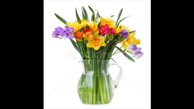 Букеты нарциссов часть   7