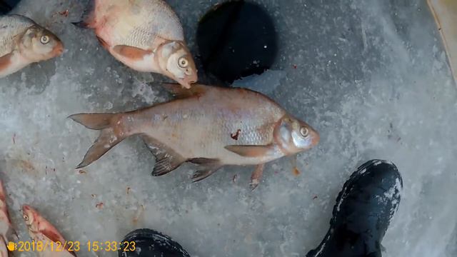 Зимняя рыбалка на Рузе в конце декабря смотреть онлайн