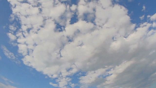 БОЛЬШАЯ ОХОТА со СПАНИЕЛЕМ на УТКУ,перепела,бекаса,КУРОПАТКУ в Беларуси!!!ТОЗ 34.Duck hunting. смотреть онлайн