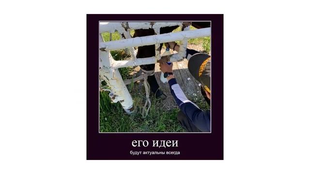 Реклама ветфака СтГАУ смотреть онлайн