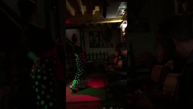 Flamenco Dive Marbella Spain смотреть онлайн