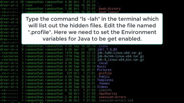 Java 7 (Oracle JDK 7), How to install in Deepin OS 15.4 | Java SE 7 Update 80 смотреть онлайн