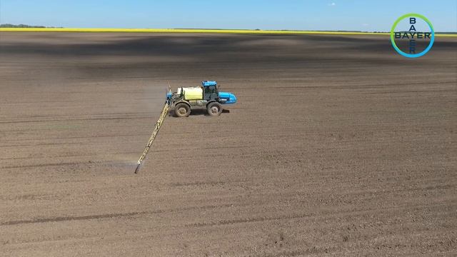 ДЕКАЛБ И МЕРЛИН ФЛЕКС – ПЕЧЕЛИВШАТА КОМБИНАЦИЯ! смотреть онлайн