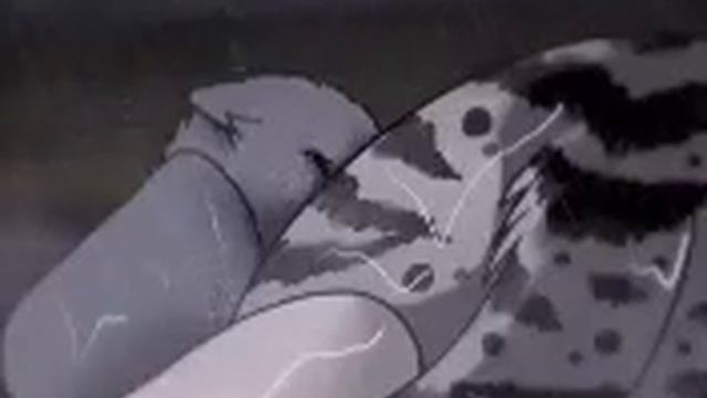 Коты воители воспоменание синей звезды микс песен смотреть онлайн