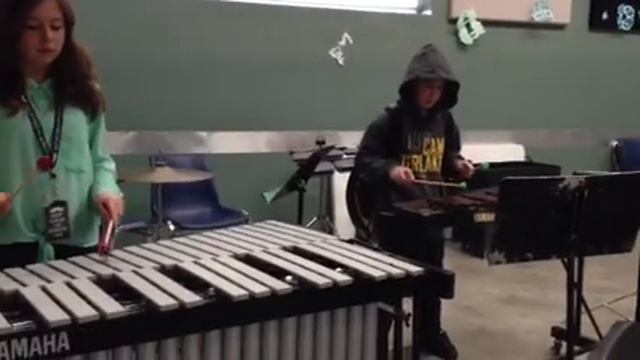 Somebody that I used to know played on xylophone смотреть онлайн