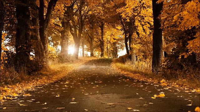 Guide Me Home смотреть онлайн