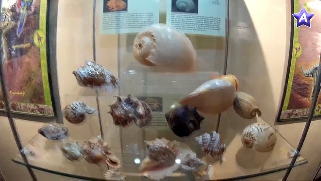 Тайны морских глубин смотреть онлайн