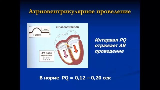 28-04-22 Куприянова АВ Наджелудочковые блокады.mp4