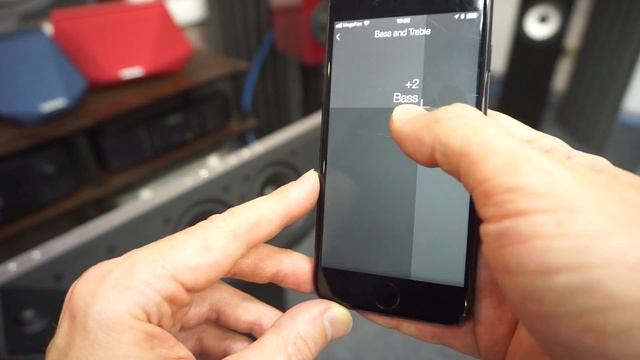 Беспроводная акустика Dynaudio Music