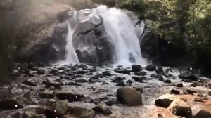 🐺 Лучший сборник чеченских песен 🐺