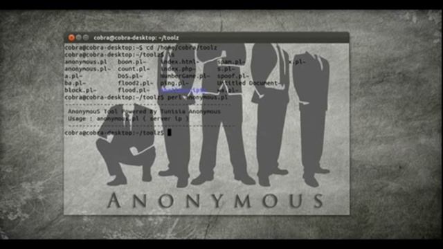 Tunisian Anonymous - sending packet Perl Tool смотреть онлайн