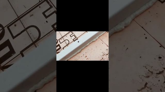 Холодильная камера для охлаждения и хранения тюльпанов/начало постройки/основание(пол) смотреть онлайн