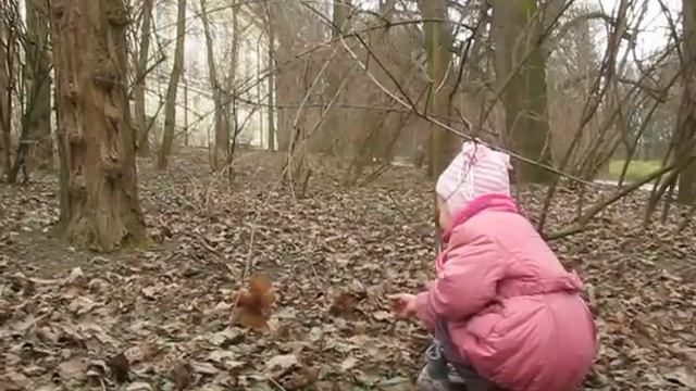 Катя кормит белку в Польше. В парке Лазенки. Памятник Шопену. Kate feeds the squirrel. In Poland. смотреть онлайн