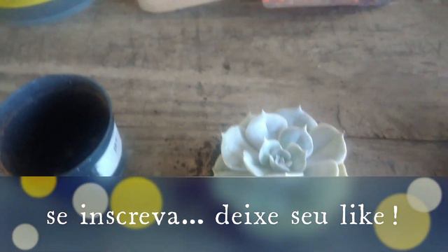 ECHEVERIA POLLUX😍🍀  #suculentas #plantas #echeveria