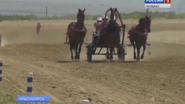 Кузбасс готов принять сильнейших борцов по курешу смотреть онлайн