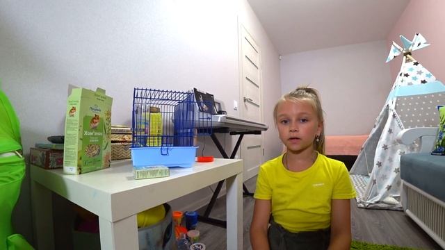 НОВЫЙ ПИТОМЕЦ! подарок от друзей. джунгарский хомяк смотреть онлайн