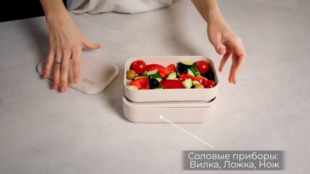 Эко ланчбокс Santai Living двухуровневый из рисовой шелухи 1,2 литра