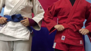 ДЗЮДО, САМБО, ДЕВУШКИ, МОТИВАЦИЯ