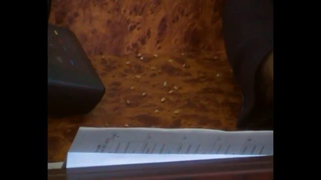 Сессия в Конотопе 30 сентября 2017 года смотреть онлайн