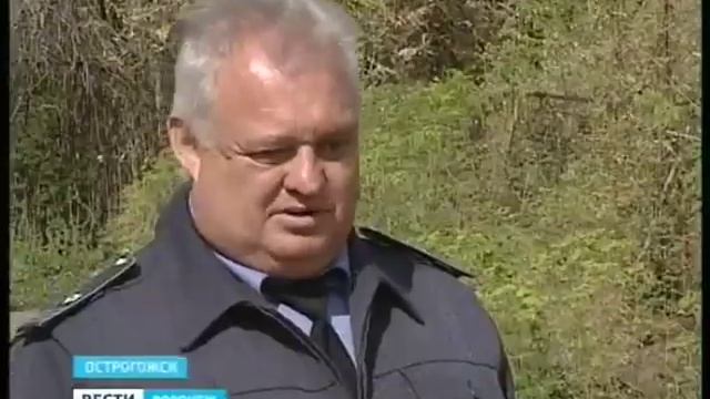 Американская белая бабочка уничтожает сады и парки Острогожска смотреть онлайн