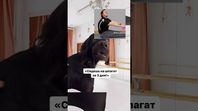 Когда анатомия и здравый смысл прошли сильно мимо ? #балетдлявзрослых #балетнаягимнастика #шпагат смотреть онлайн