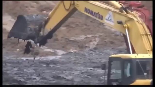 Очистка Малоневского канала в г. Шлиссельбурге