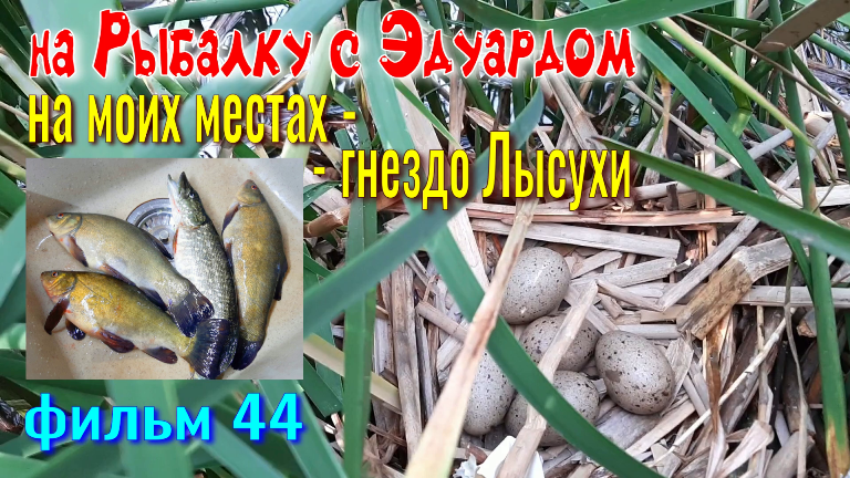 На Рыбалку с Эдуардом. VIDEO 44. На Моих Местах – Гнездо ЛЫСУХИ смотреть онлайн