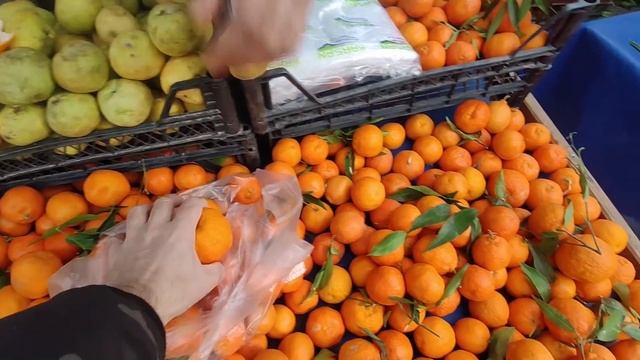 САМЫЙ ДЕШЕВЫЙ ТУРЕЦКИЙ БАЗАР В ДЕКАБРЕ! \ КУРС доллара упал или взлетел,а базару все равно! \Антали смотреть онлайн