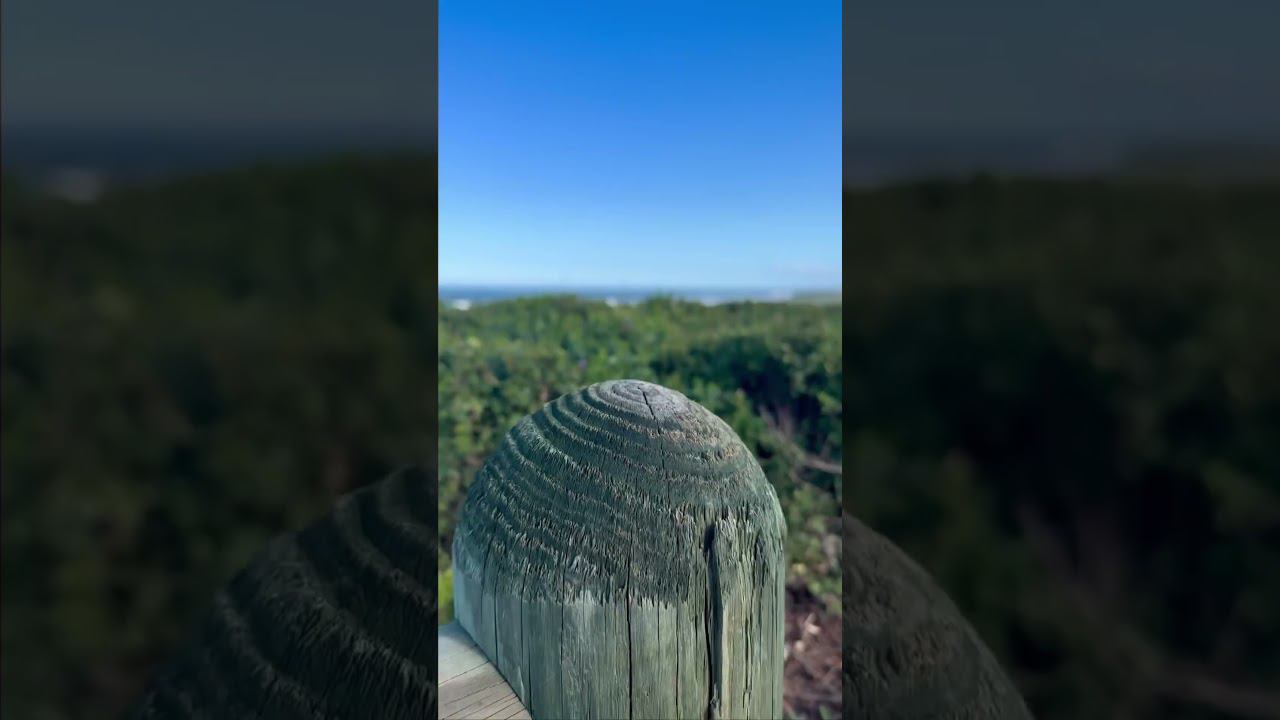 #юар #туризм #путешествие #индийскийокеан #океан