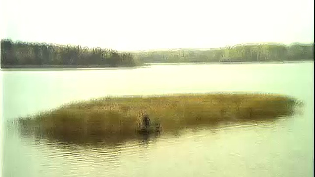 я - фин смотреть онлайн