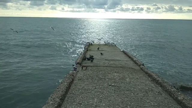 Чтоб запомнить краски моря. смотреть онлайн