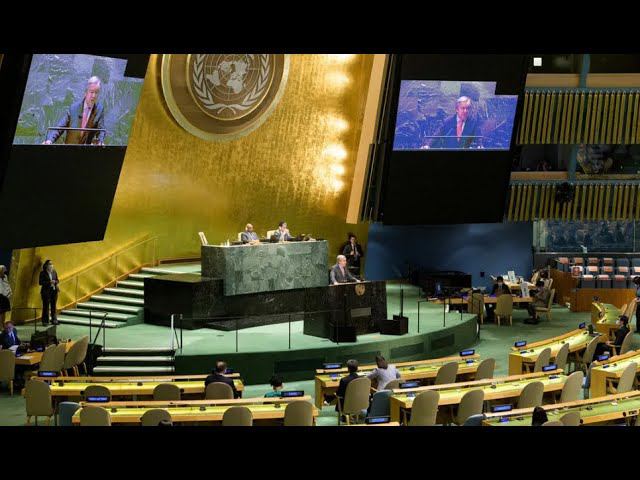 В ООН приняли резолюцию, осуждающую осквернение Корана смотреть онлайн