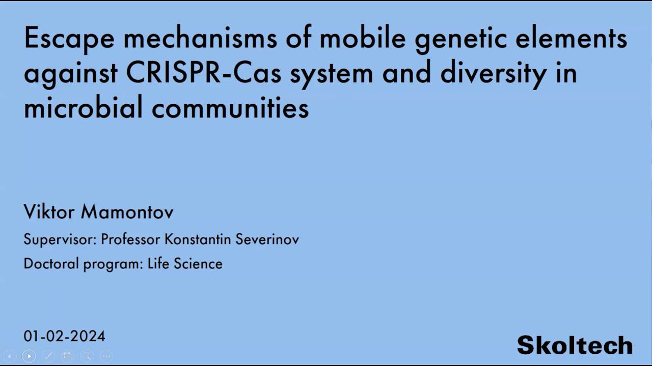 PhD Thesis Defense. Viktor Mamontov смотреть онлайн